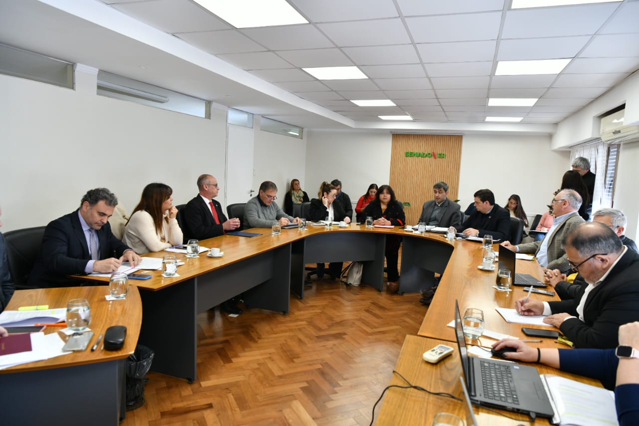 Leonardo Portela concurrió a la Cámara de Senadores