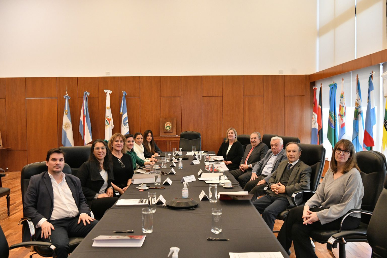 El Consejo Académico del Instituto “Juan Bautista Alberdi”