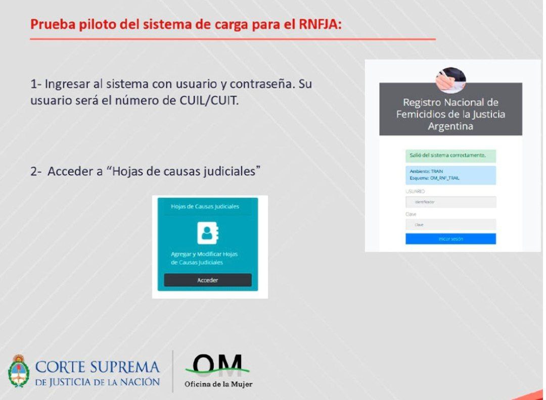 Nuevo sistema web de carga de datos del Registro Nacional de Femicidios