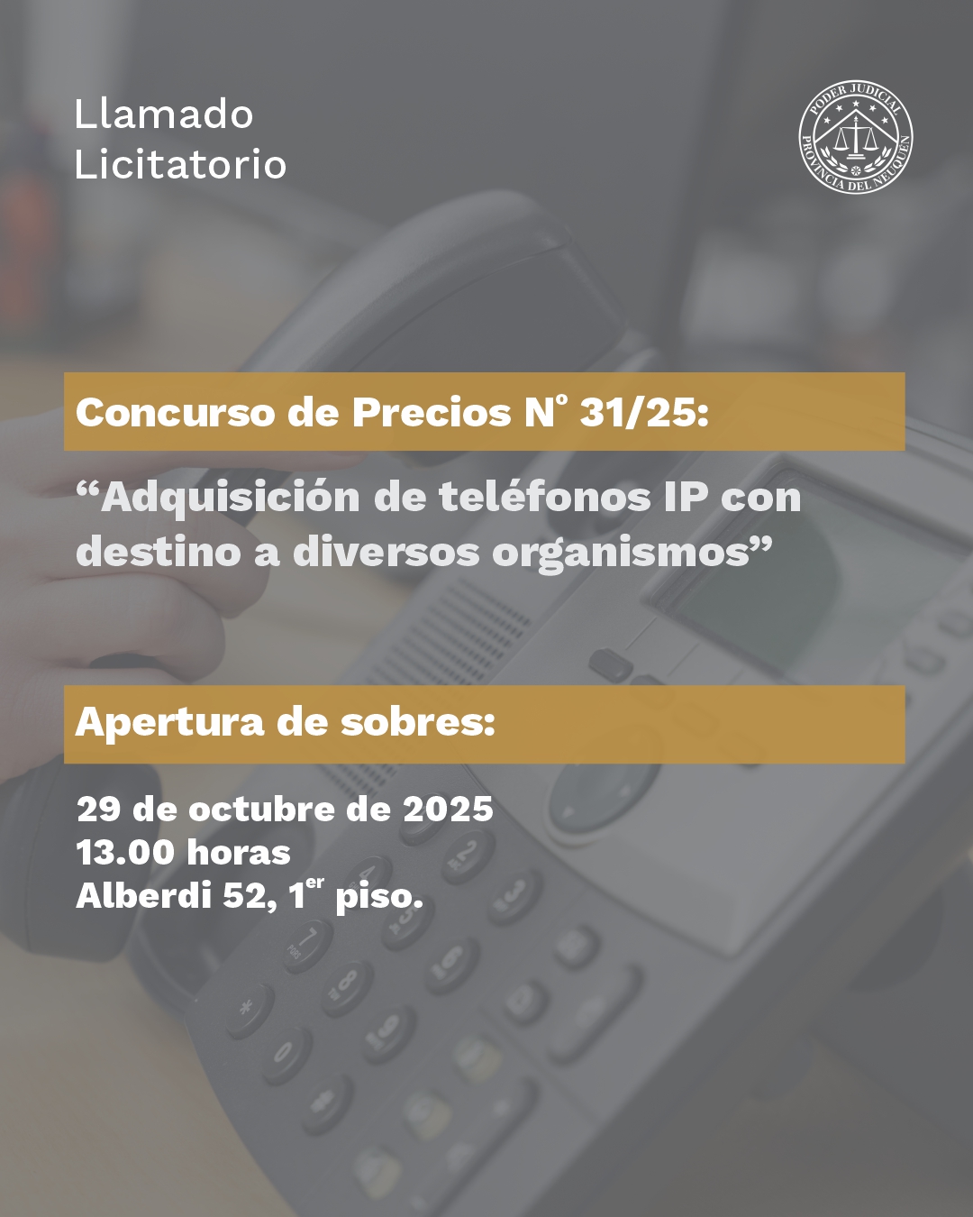 Llamado licitatorio