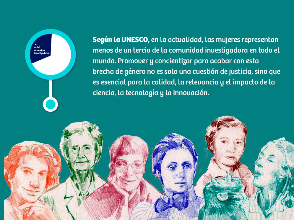 La fecha fue establecida por las Naciones Unidas en el año 2015
