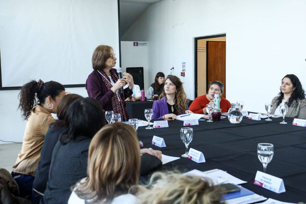 Reunión del Consejo Consultivo de la Mujer
